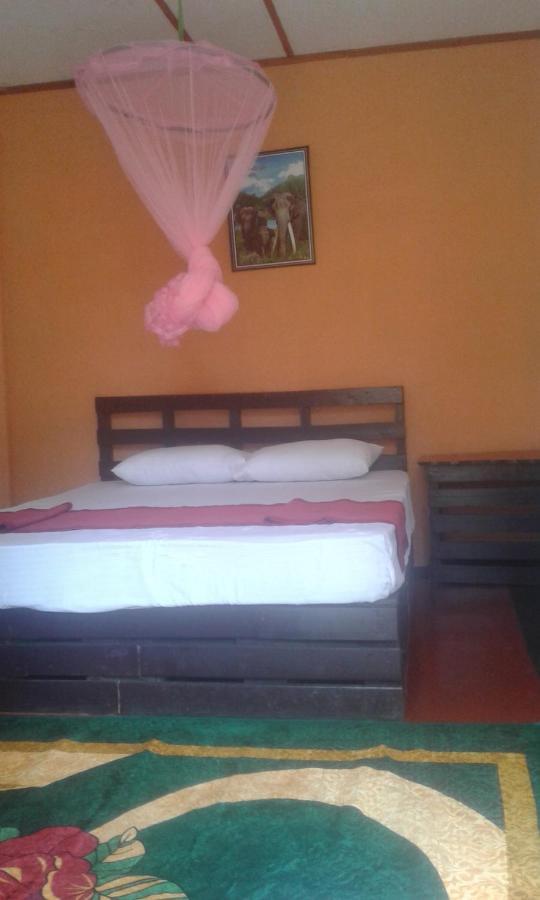 Lily Adam'S Peak Bed & Breakfast Nallathanniya Eksteriør bilde