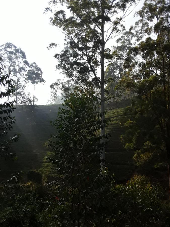 Lily Adam'S Peak Bed & Breakfast Nallathanniya Eksteriør bilde